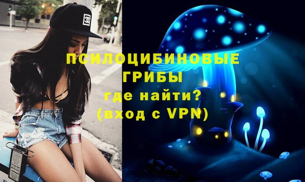 таблы Богородицк