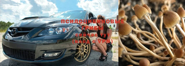 MDMA Premium VHQ Белокуриха