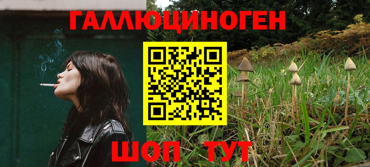 купить закладку  Галлюциногенные грибы Cubensis  Воскресенск  Галлюциногенные грибы GOLDEN TEACHER 