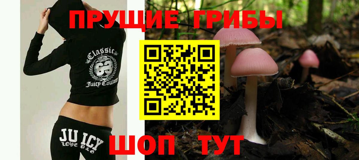 Псилоцибиновые грибы GOLDEN TEACHER Воскресенск